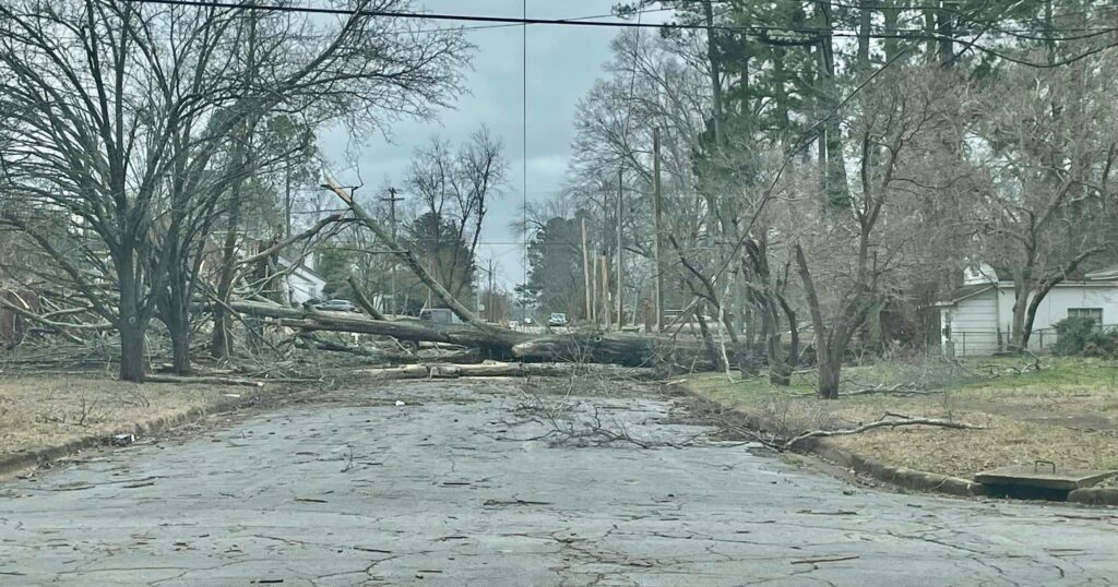 7 tornadoes confirmed during weekend storms across Alabama