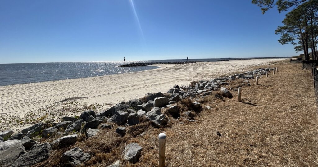 2 Alabama towns named hidden gem for seafood lovers