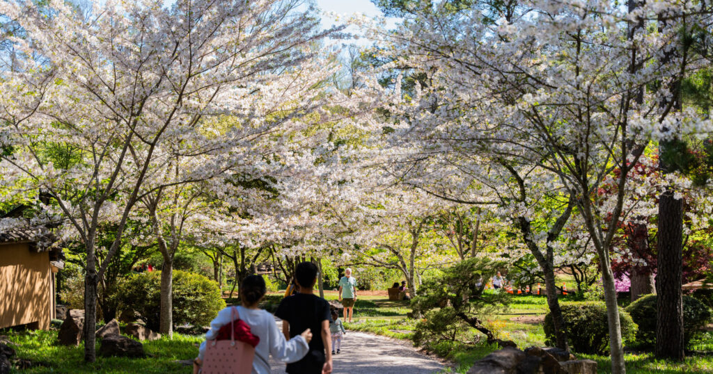 17 festivals in Alabama to kickstart your spring celebrations
