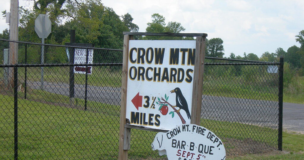 A once-popular Alabama orchard is now for sale, listed at .1M