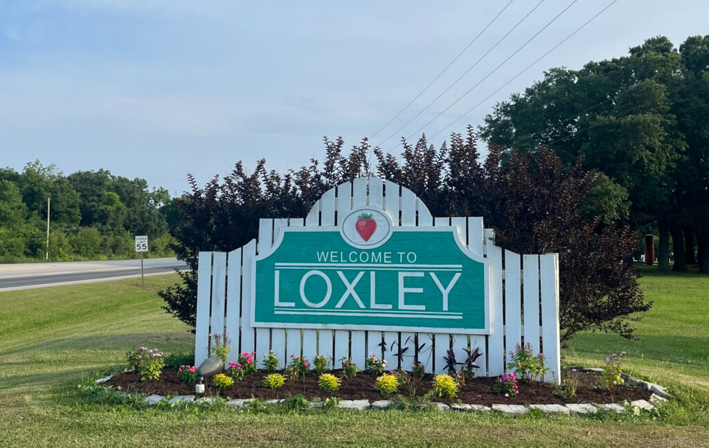 Welcome to Loxley: Home to ‘strawberry festivals forever’