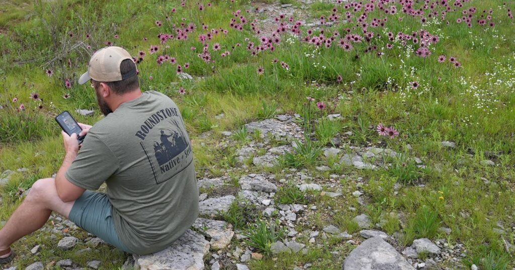 Native Plant Tok: Find out why this Alabama nature lover was featured in the New York Times