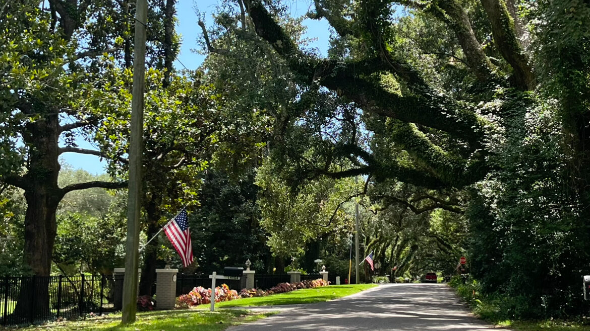 Magnolia trees spring eternal in this small Baldwin County town