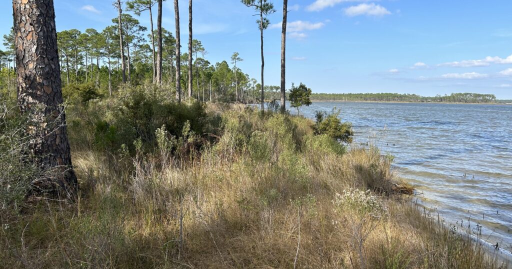 Foley gets M grant to expand Graham Creek Nature Preserve