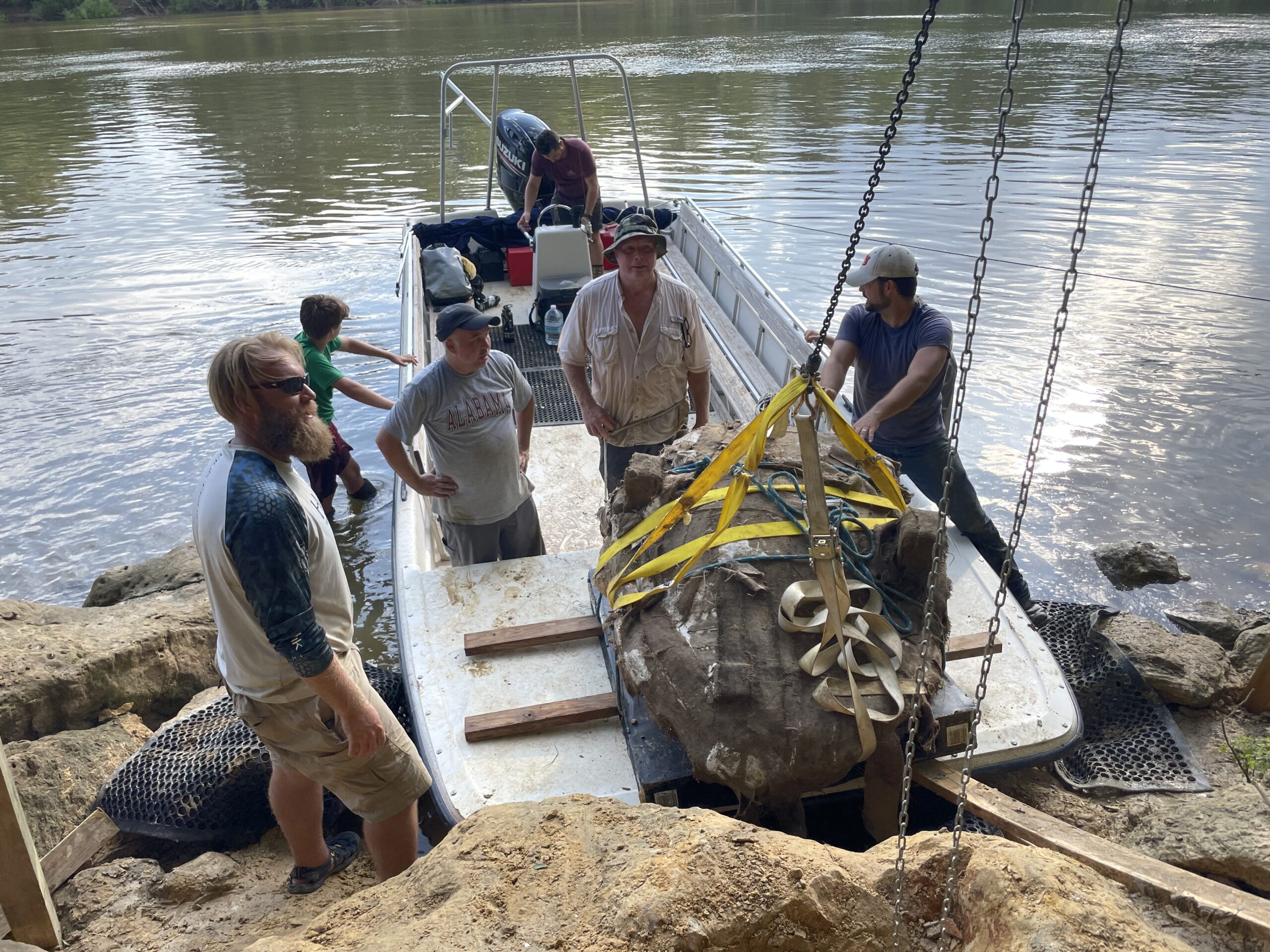 Alabama family discovers 32-million-year-old sea turtle fossil