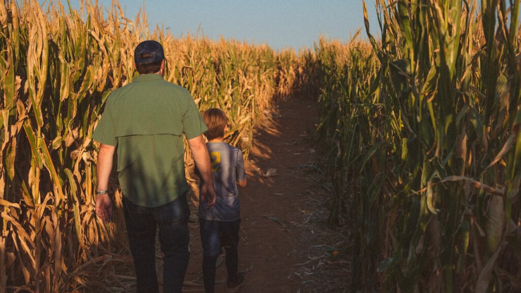 9 hay + corn mazes near Birmingham and beyond for fall family fun 1 a man and a boy walking through a corn field