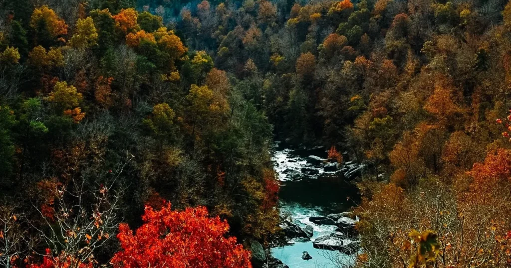Best spots to enjoy fall foliage in Alabama