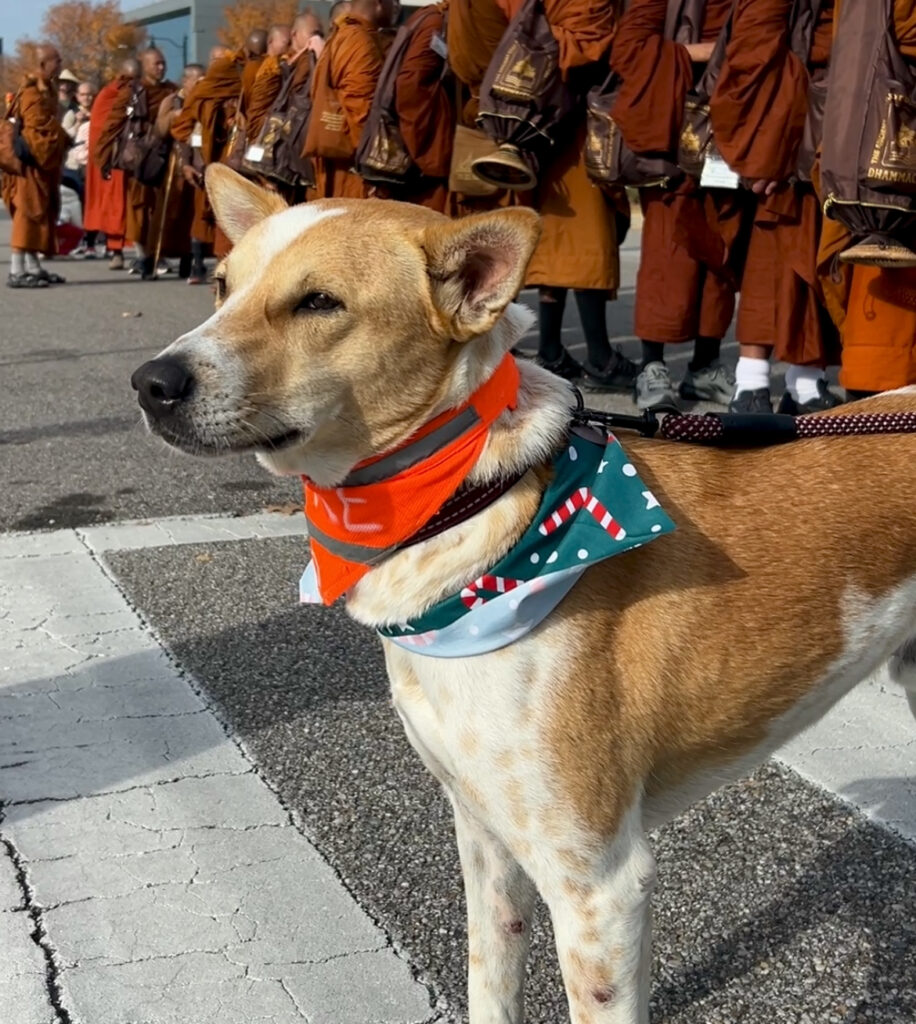 PHOTOS: Walk for Peace monks make extended stop in Montgomery 10 IMG 2092 PHOTOS: Walk for Peace monks make extended stop in Montgomery