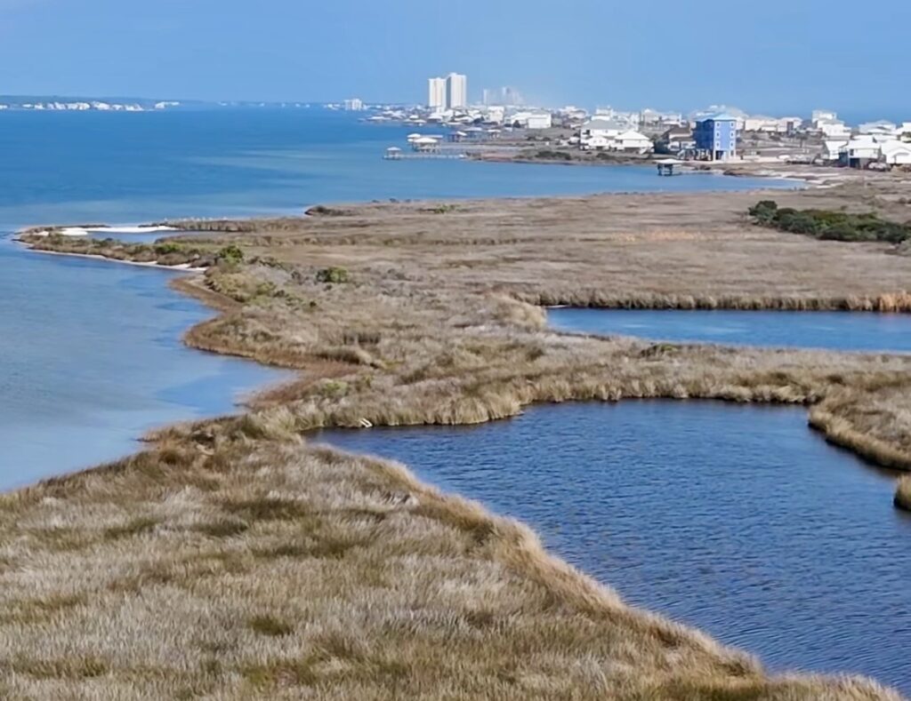 New Laguna Cove Nature Park project moving forward with .6M bid