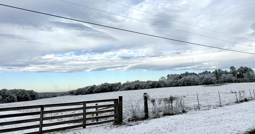 Alabama’s Wiregrass wakes up to a pre-MLK Day winter wonderland [PHOTOS]