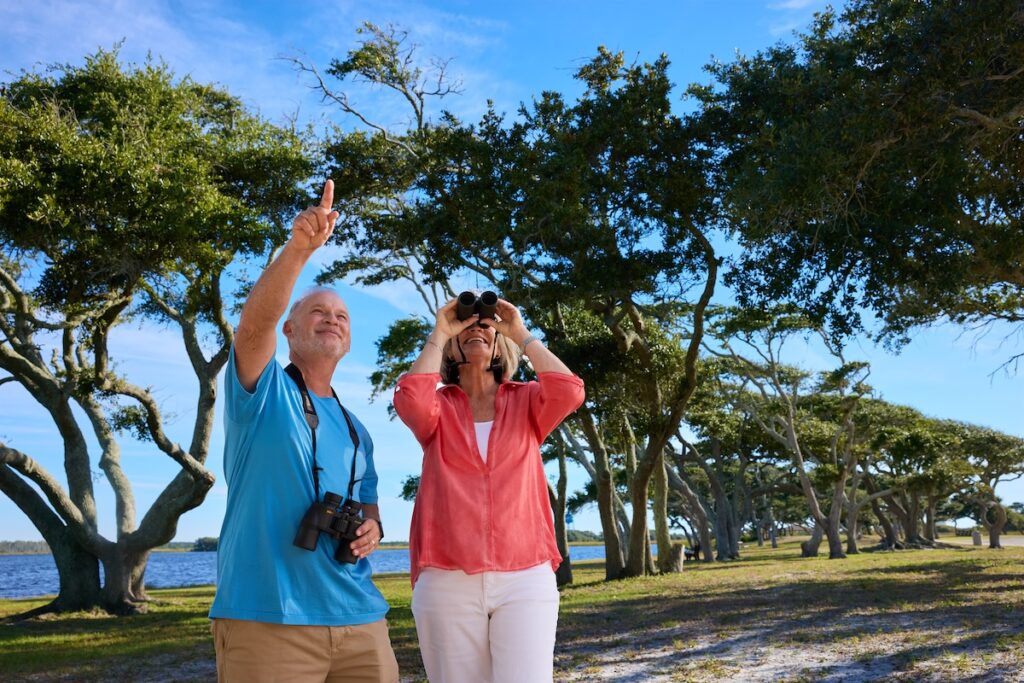 Winter wildlife adventures along Alabama’s Gulf Coast—all you need to know + how to go