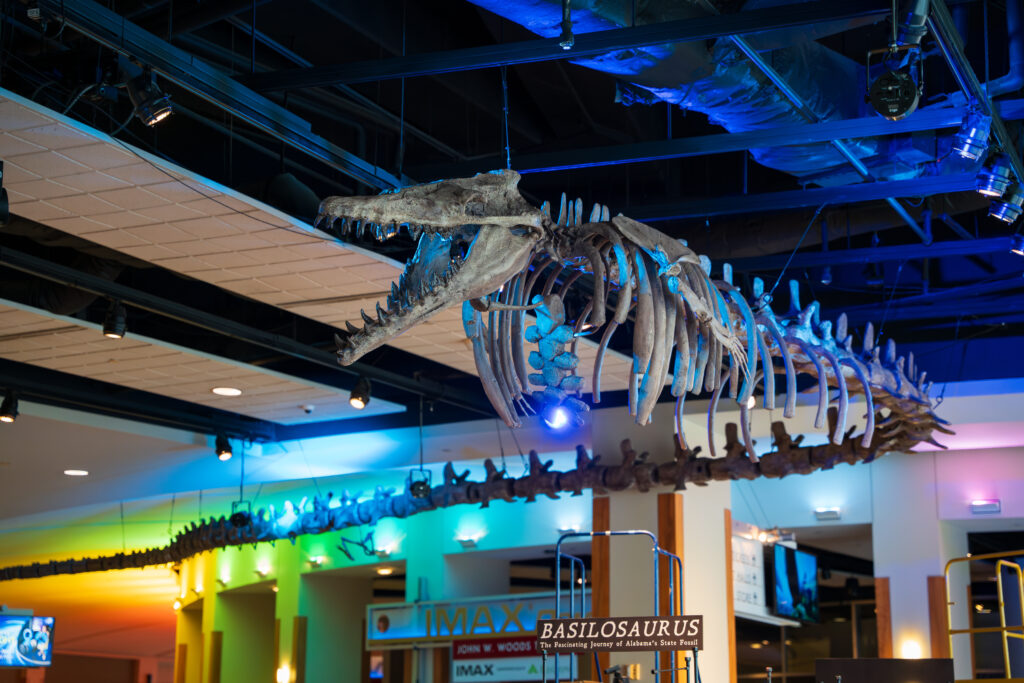Alabama’s Basilosaurus: How you can see this massive prehistoric whale Alabama’s Basilosaurus: How you can see this massive prehistoric whale