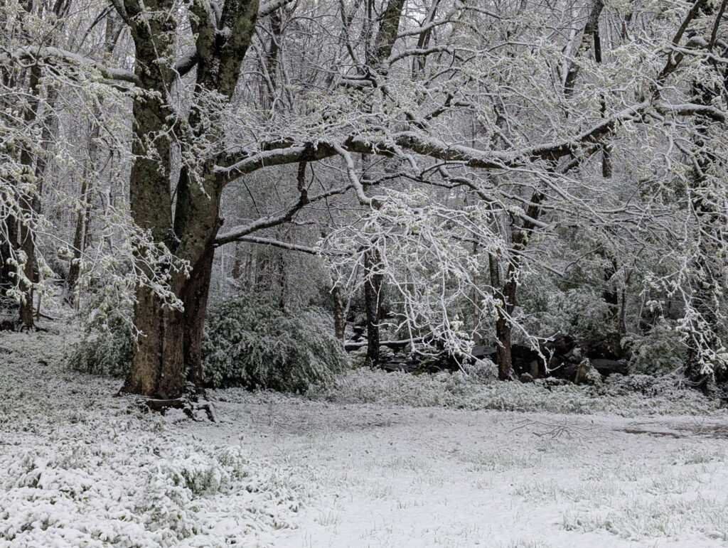 Rare March snow covers northern half of Alabama