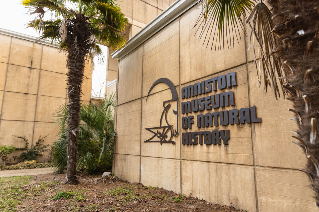 17 Alabama museums to visit on a rainy day