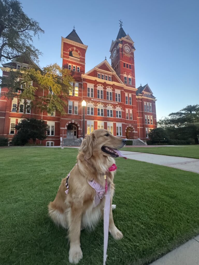 Auburn ranked among the South’s best college towns for 2026