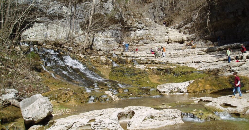 Discover these 3 special places protected by Alabama’s Forever Wild program Discover these 3 special places protected by Alabama’s Forever Wild program