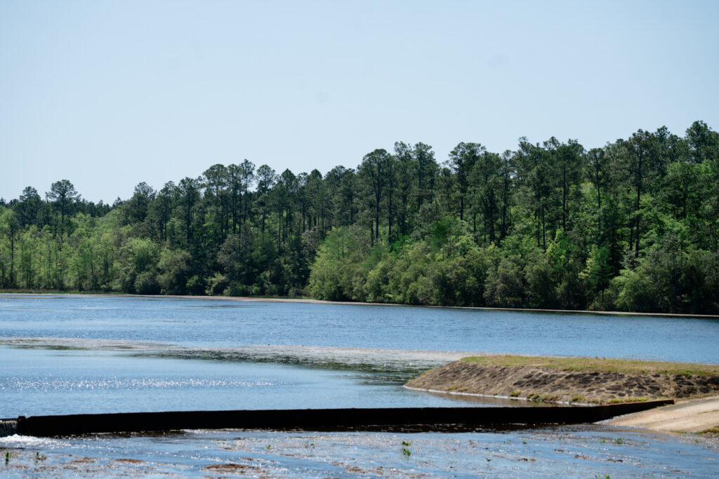 Late summer heatwave setting new records across Alabama