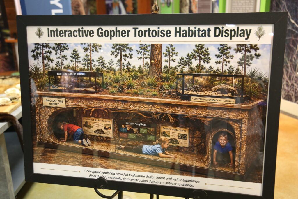 Alabama Nature Center to get new interactive gopher tortoise exhibit