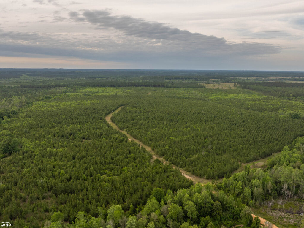 South Alabama Land Trust adds 283 acres for new nature preserve in Baldwin County