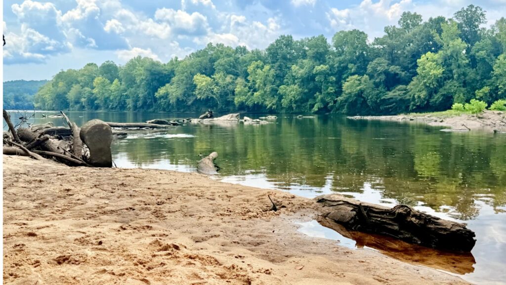 10 Alabama Swimming Holes To Find Before The End Of Summer 10 Alabama Swimming Holes To Find Before The End Of Summer