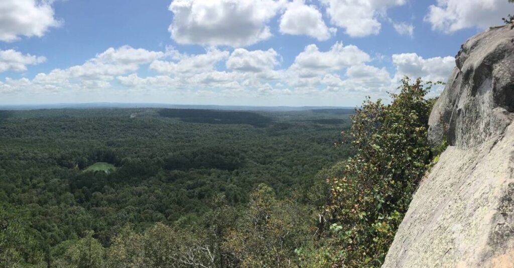 Forever Wild votes to acquire 6,168 acres across Alabama in six counties Forever Wild votes to acquire 6,168 acres across Alabama in six counties
