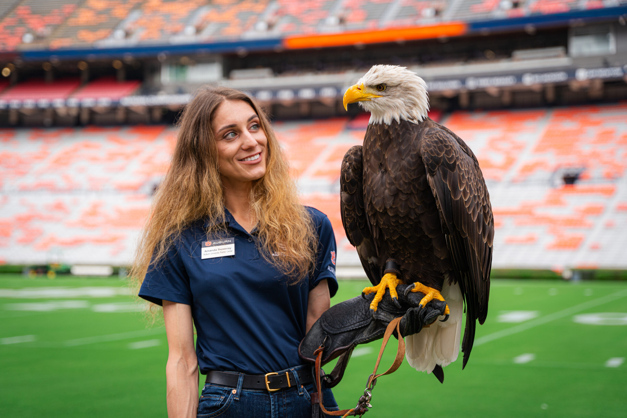How Auburn trains its War Eagles for Jordan-Hare flights How Auburn trains its War Eagles for Jordan-Hare flights
